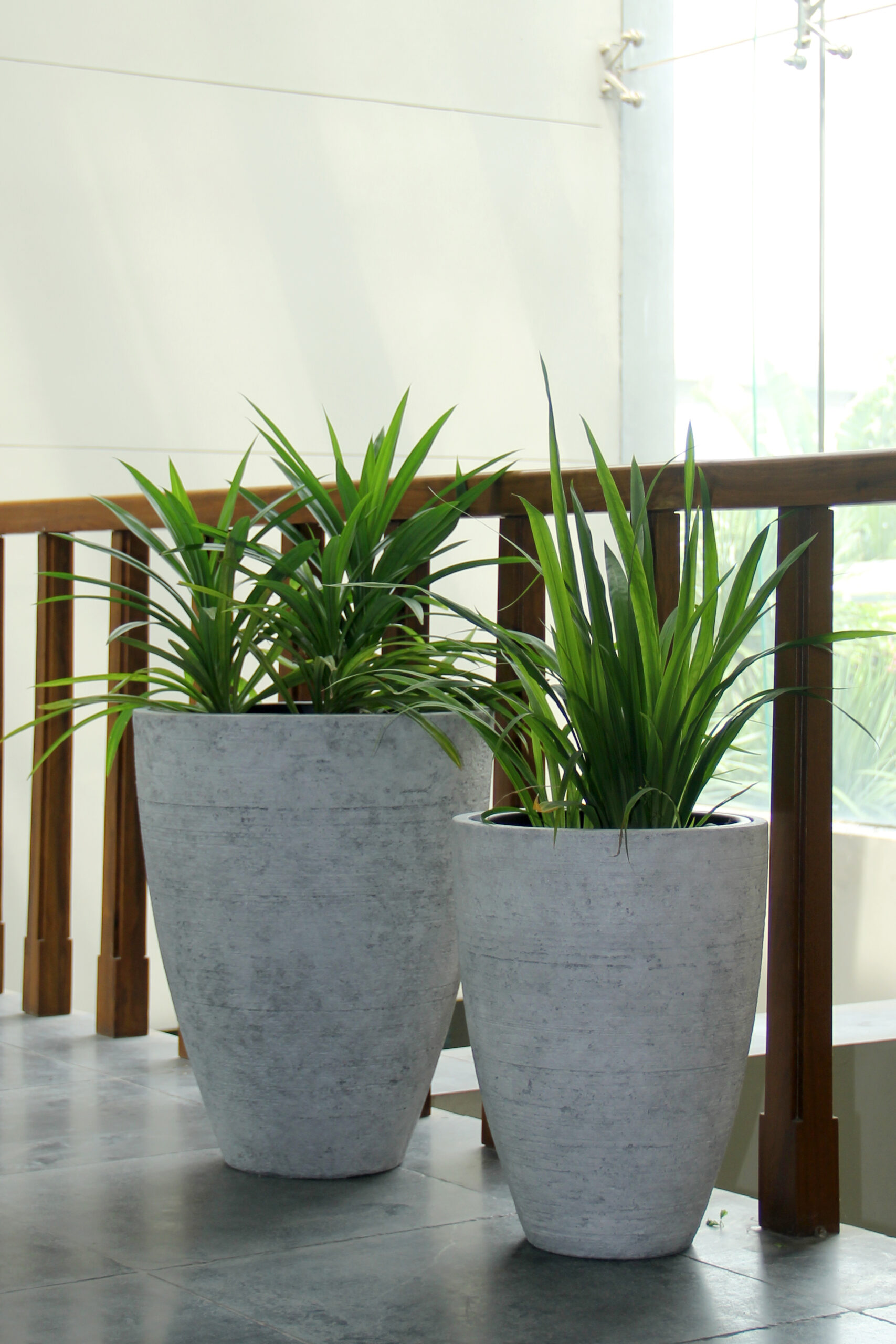 Chậu Ficonstone MS 08-3732