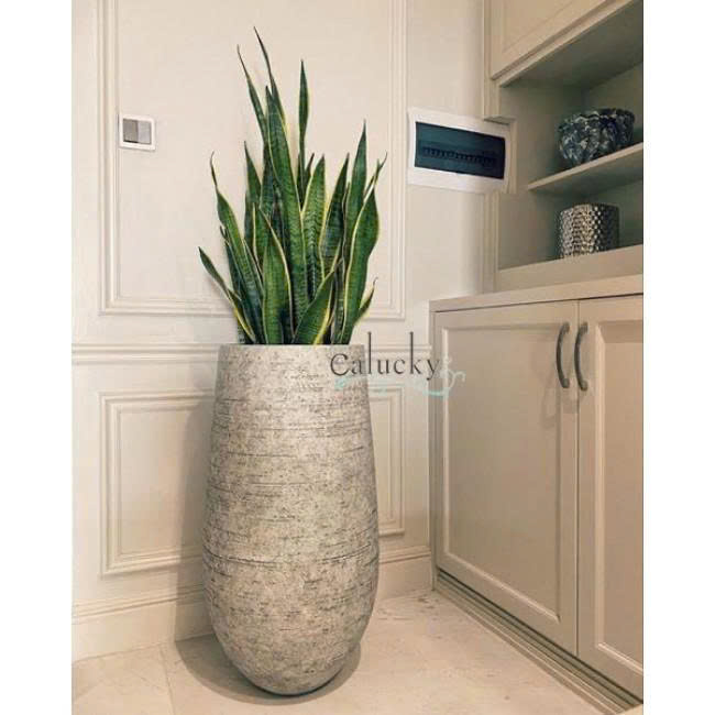 Chậu Ficonstone MS 08-3721