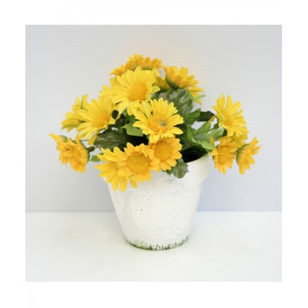 Chậu hoa cúc màu vàng 21-PB05853POT-YE