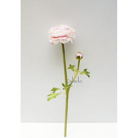 Hoa Camelia 22-8285